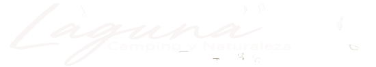 portal de web sin fondo 2 2
